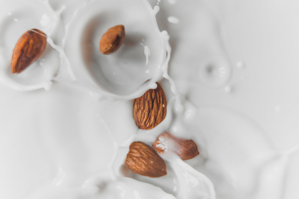 Vegan Milk: Non-Dairy Milk Alternatives