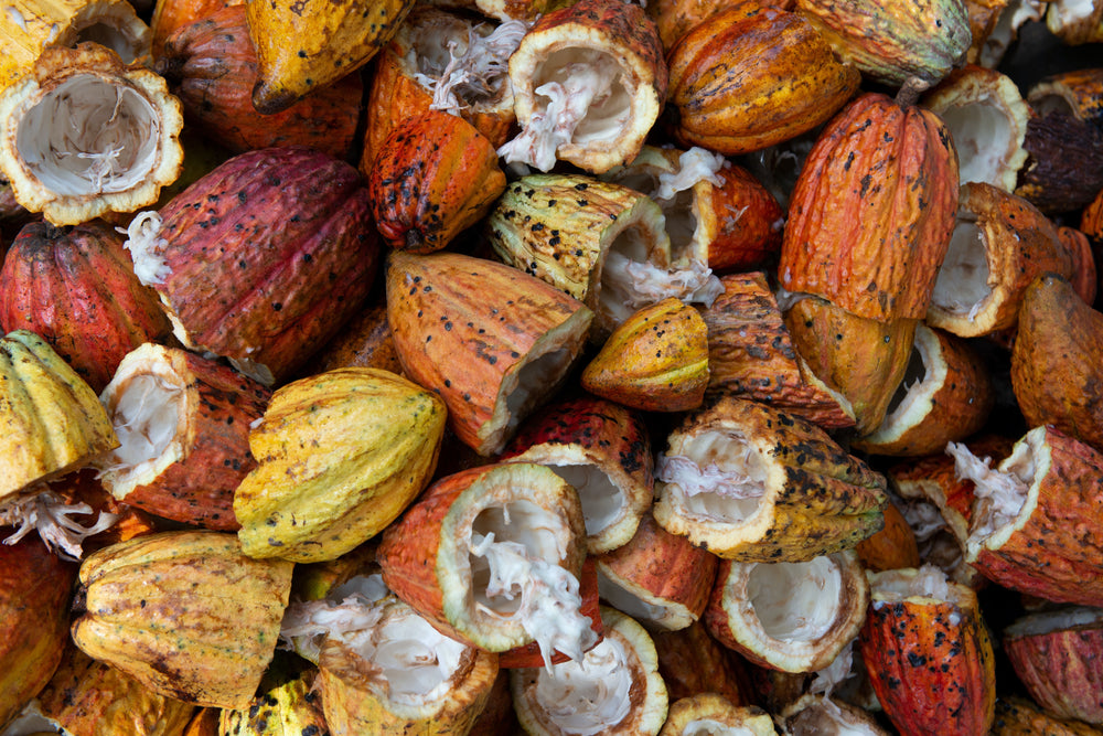 cacao