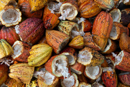 cacao