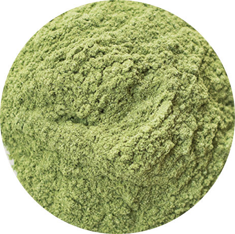 Barley grass powder