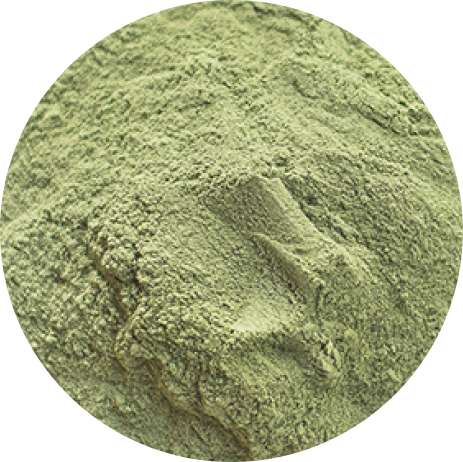 Chlorella