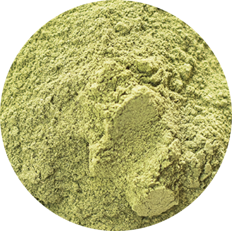 Moringa powder